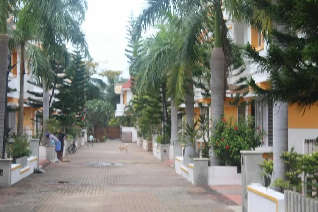 Bay View-1
